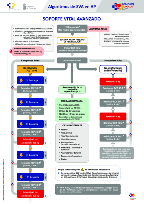 Algoritmos SVA preparado para impresión_1