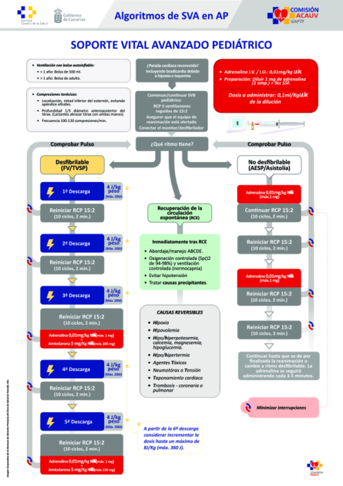 Algoritmos SVA preparado para impresión_2
